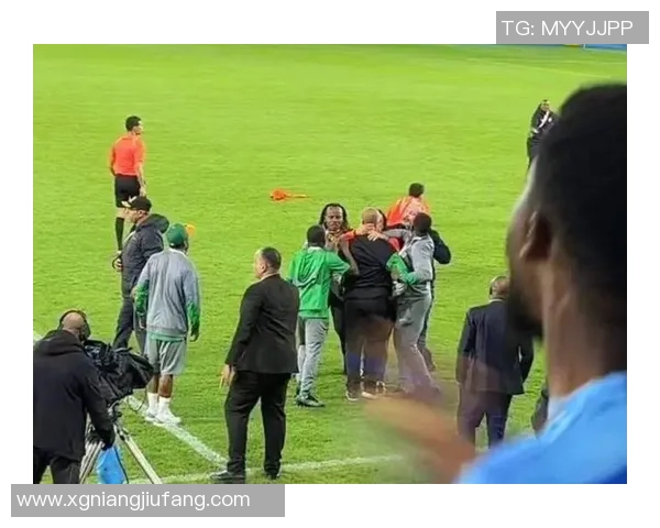 产生什么了？尼日利亚主帅和民主刚果主帅在赛后相互推搡